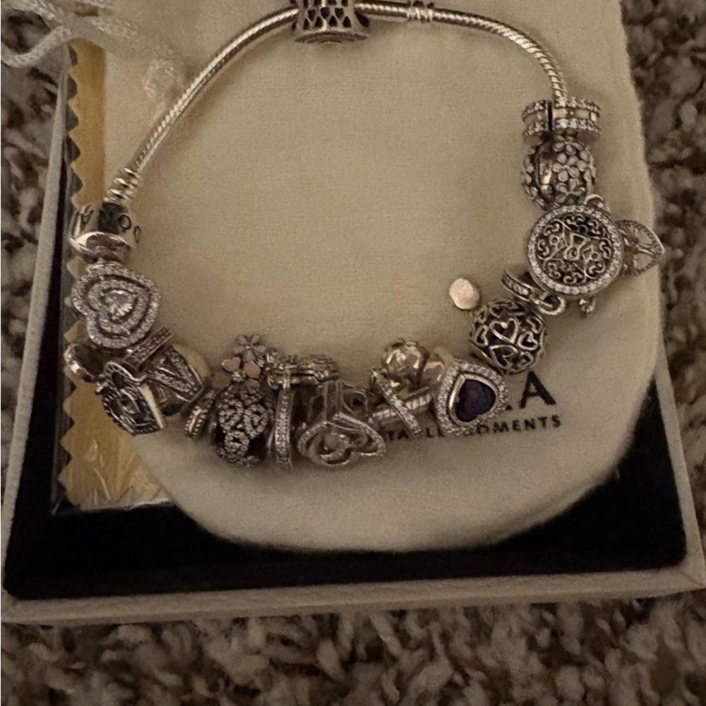 Pandora Silver Charm Bracelet with Intricate Designs